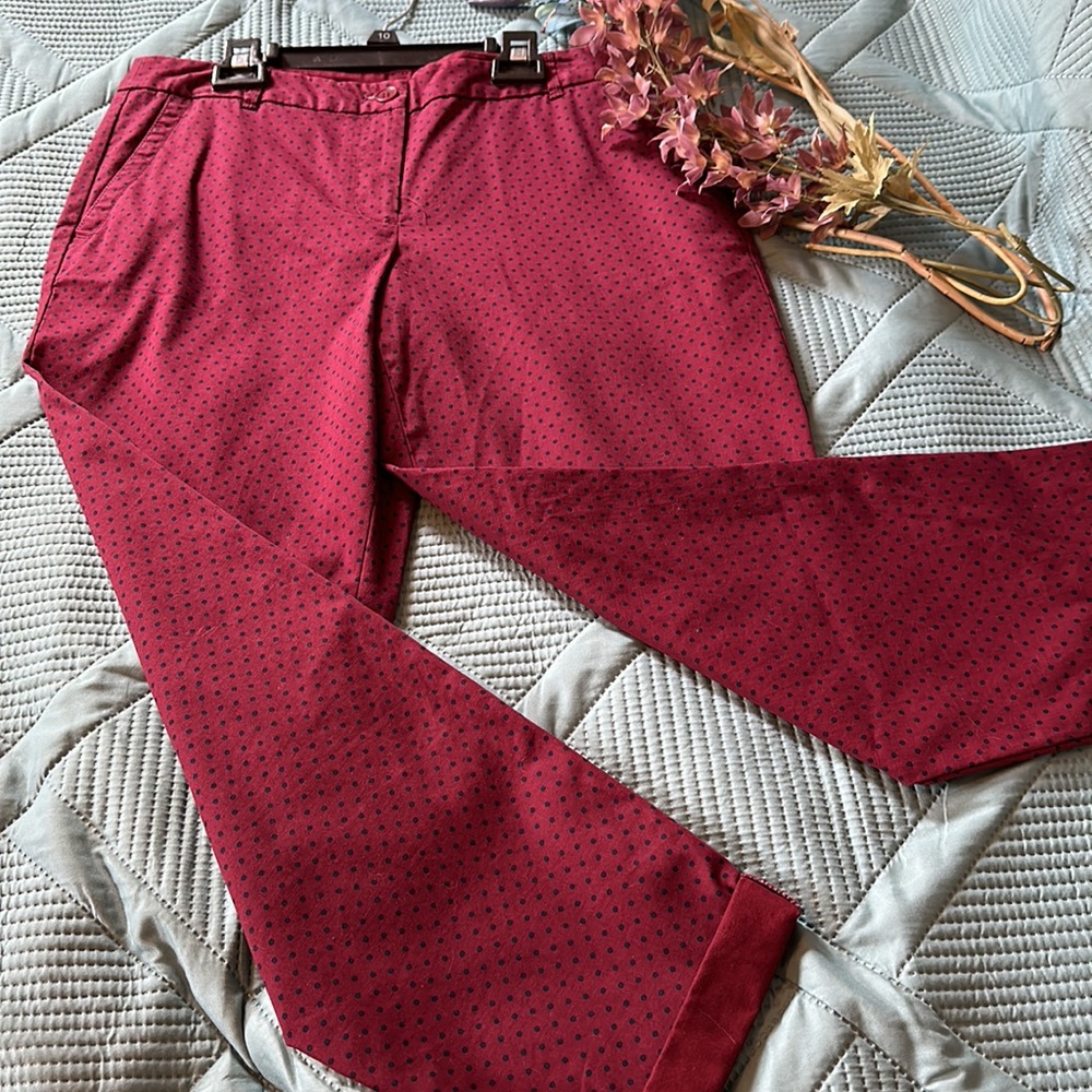 POLKA DOTS! Talbots chinos - 8